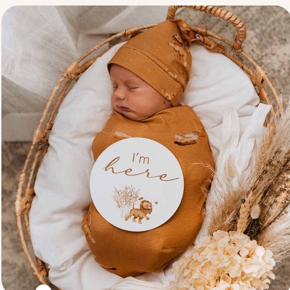 SNUGGLE HUNNY Roar Organic Snuggle Swaddle & Beanie Set - Picture 2 of 7